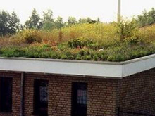 leistungen-03-intensivbegruenung